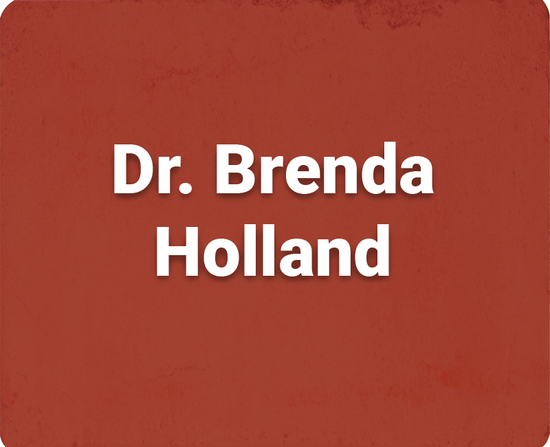 Dr Holland Medium Brick